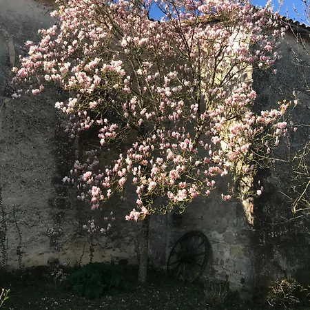 Holiday home Le Clos Des Mesanges