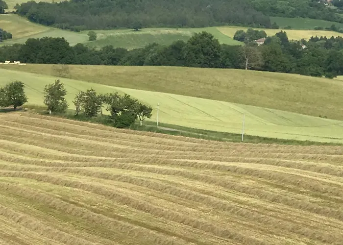 Le Clos Des Mesanges